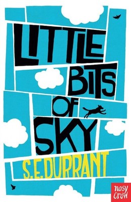 Little Bits of Sky by S.E. Durrant (English) Paperback Book