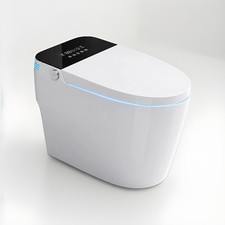 Smart One-Piece Bidet Toilet Heated Seat Warm Wash Dryer Remote Siphonic Flush