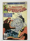 Amazing Spider-Man 205 NM- Near Mint- 9.2 Marvel 1980 Newsstand