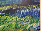 Bild 8 von 9