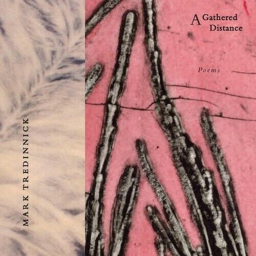 Thumbnail - Mark Tredinnick A Gathered Distance (taschenbuch)