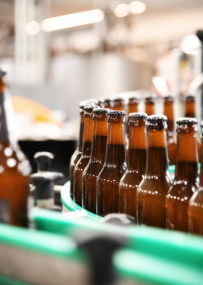 WACKEN BRAUEREI Craft Beer Box 16x 0,33l + Bierglas Wikinger Bier Geschenk - Bild 3 von 4