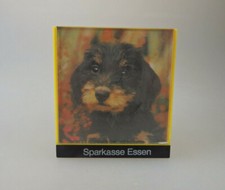 Spardose Foto Rauhaardackel Werbung Sparkasse Essen (60034)