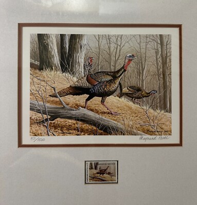 1983 MISSOURI - Turkey Stamp Print - Matted & Ready for Framing