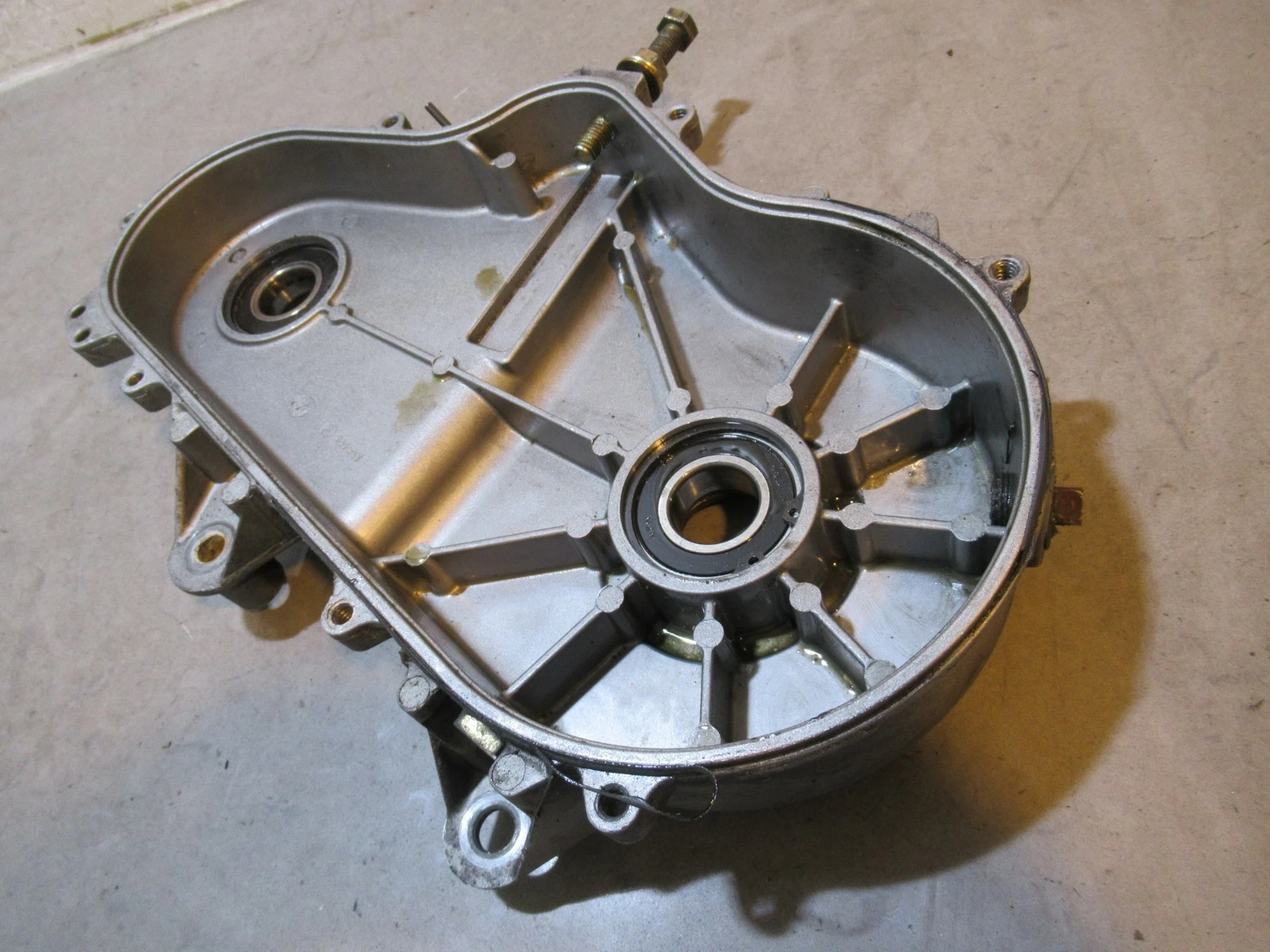 Polaris Dragon 700 Chain Case 2008 #4