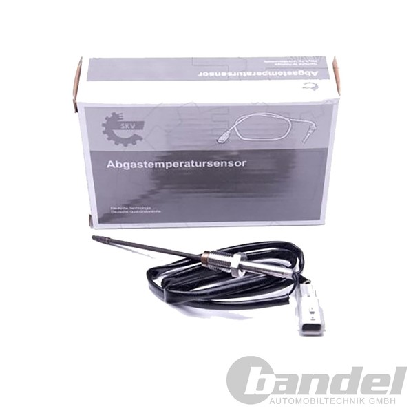 Esen SKV Abgastemperatursensor Passend FüR Nissan Qashqai X-TRAIL Opel Vivaro-image