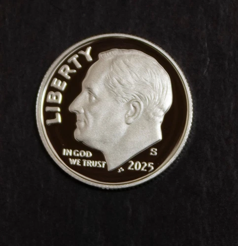 2025 S Roosevelt Dime Gem Silver Proof 99.9% Silver   Lot 4981