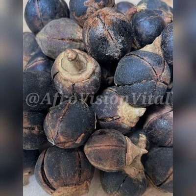 14 Stk Goron Tula (Azanza garckeana) Trockenfrucht Naturprodukt - Snot Apple