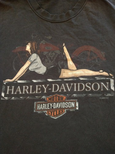 Vintage Harley Davidson Shirt; Mens 2XL 