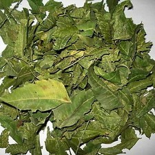 Dried Whole Neem Leaves -Azadirachta Indica Indian Neem Tree Free Shipping-250gm