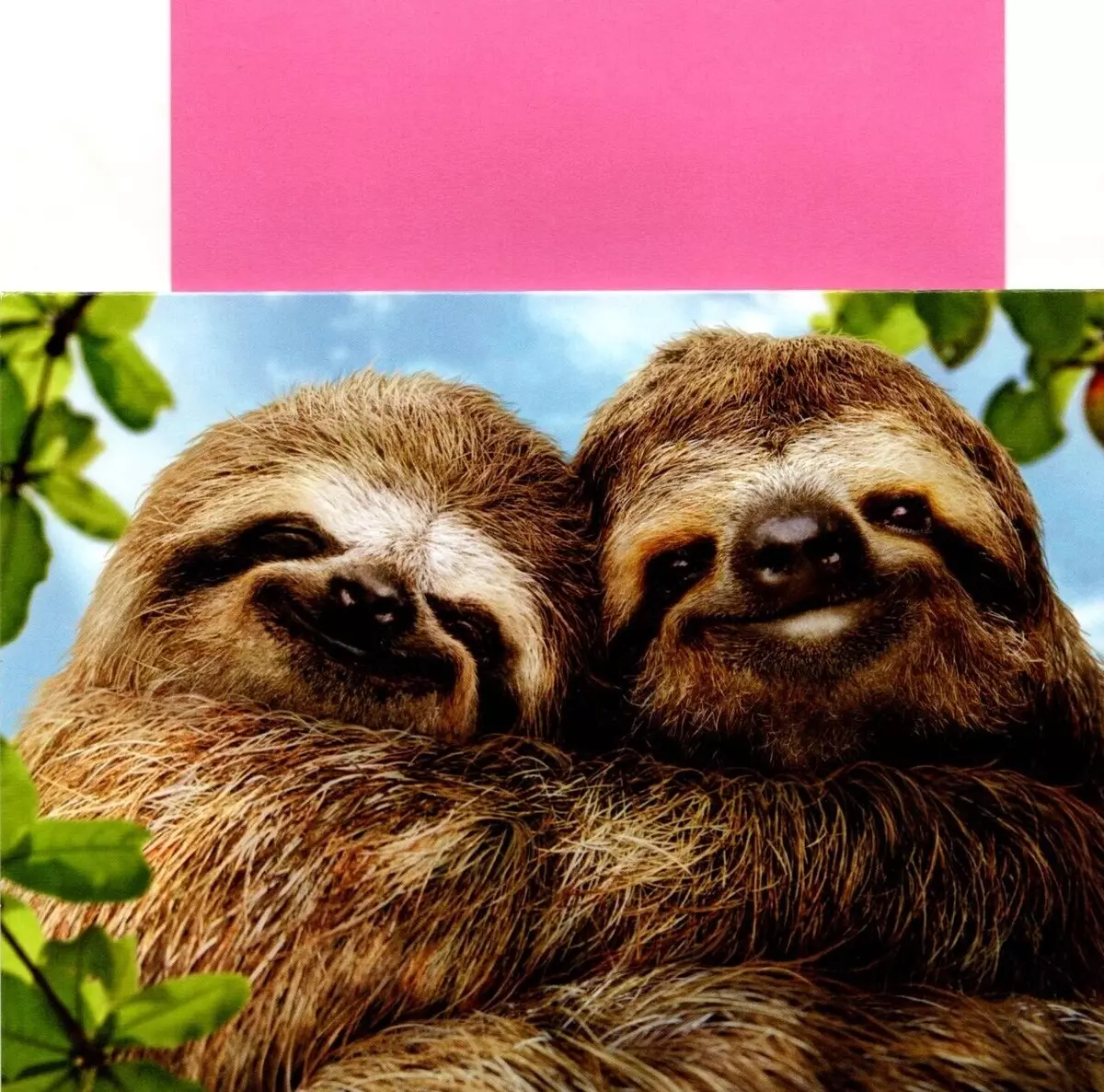 Slothy (@slotha) / X