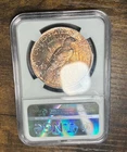 1923 $1 NGC MS 63 Peace Silver Dollar Monster Rainbow Toned Coin ☆