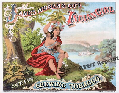 indian chewing tobacco uk Wall Art Print / Photo of James Moran Indian Girl Chewing Tobacco 1874  11x14