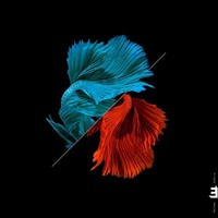 Julian Arguelles - Tonadas - Cd - G4Z