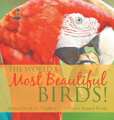 Baby | The World's Most Beautiful Birds! Animal Book for Toddlers Children's...