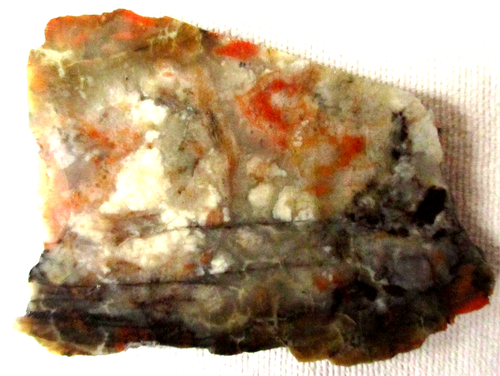 Coprolite - Slab - Dinosaur Poo - Dino Dung - Utah - 66 grams - Picture 2 of 2