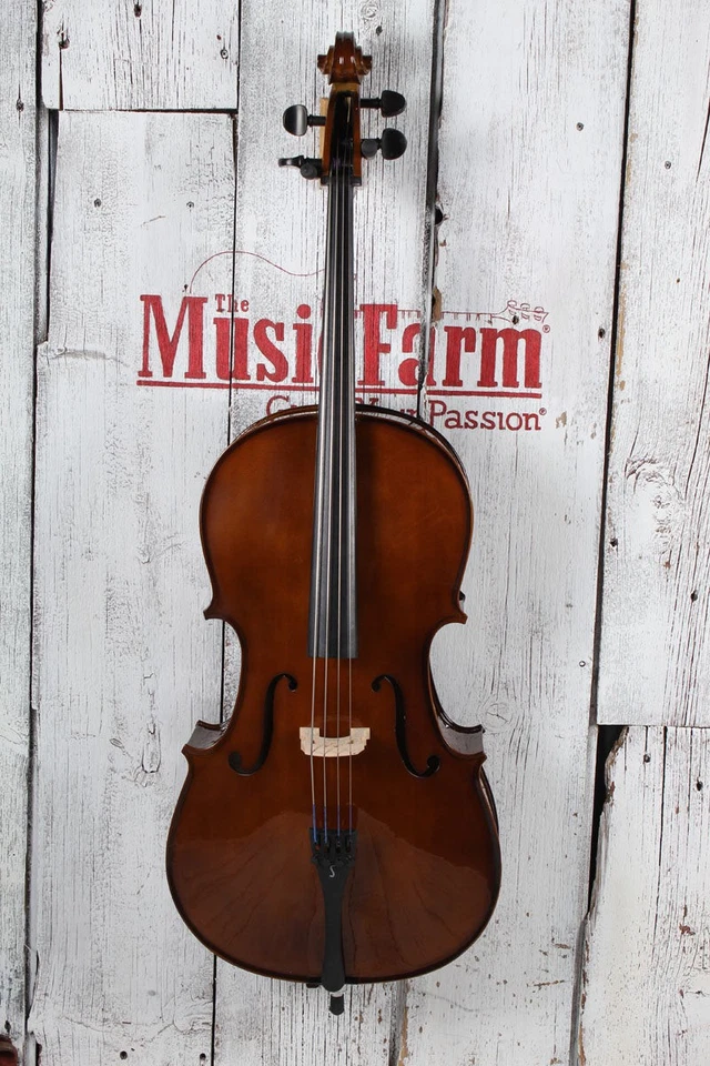 Violonchelo Stentor Student II tamaño 1/2 con bolsa de concierto y arco Foto 3 de 4