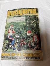 eBay Auction Picture