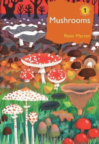 Thumbnail - Mushrooms: The Natural And Human World Of British Fungi (british