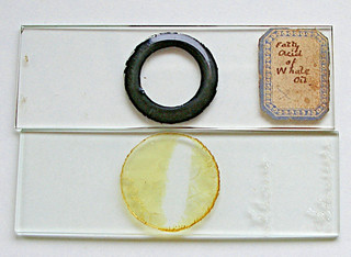 Pair ANTIQUE CHEMICAL MICROSCOPE SLIDES SALICINE & FATTY ACID (marine)