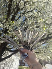 Silver.Spoon Fashion Jewelry for Sale | Shop New & Pre-Owned
