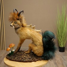 Wolpertinger Wolpi Fuchs Gamsh&ouml;rnern Drachenfuchs Schwanz Pr&auml;parat Fabelwesen