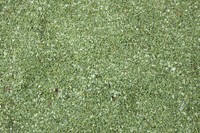 1000KräUter SalatgewüRz Salat GewüRz 100 G