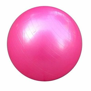 55 exercise ball