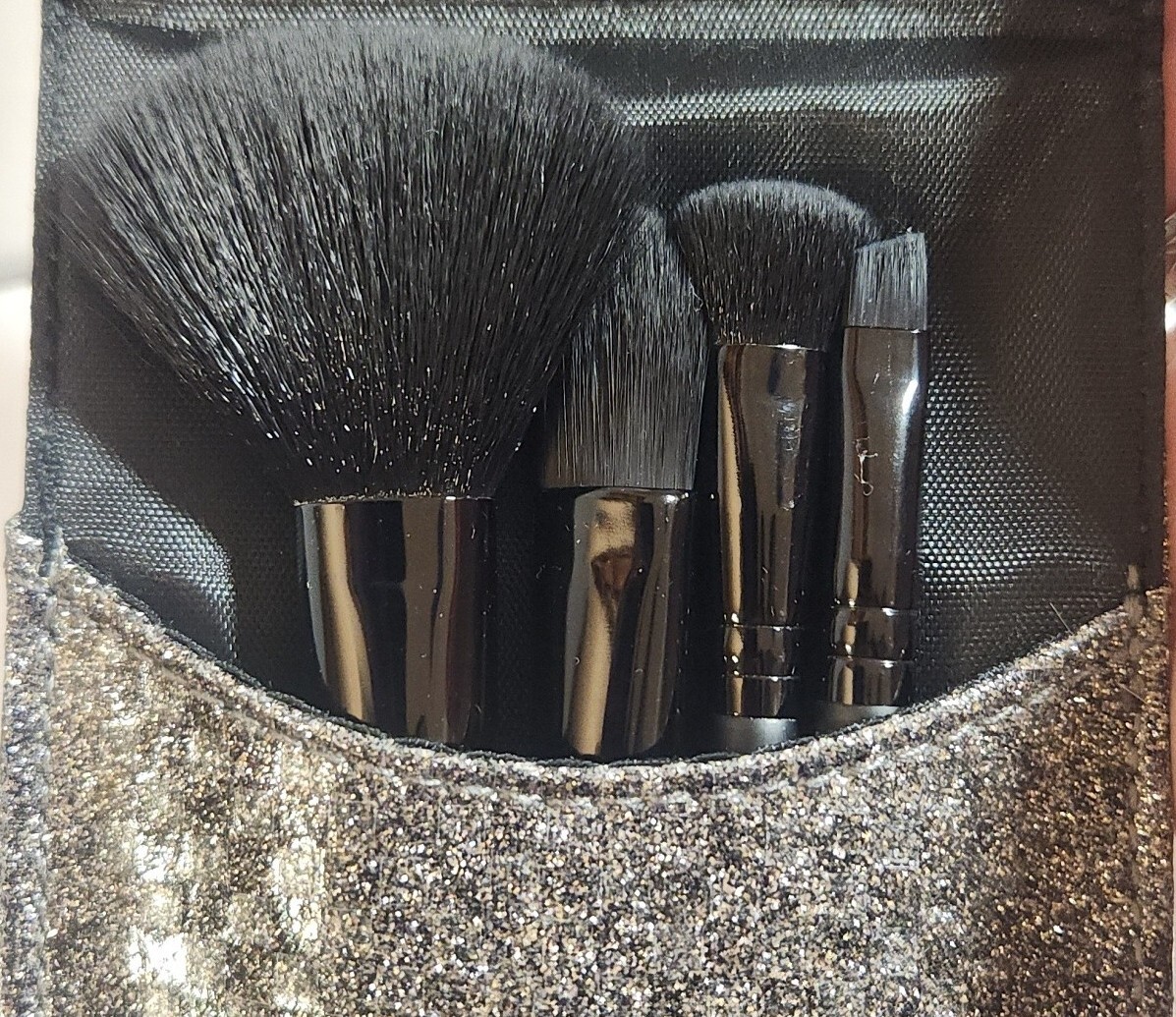 NEW Essential MakeUp Brush Set with Sparkly Silver Glittery Case