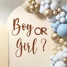 Boy or Girl Gender Reveal Sign for Backdrop Brown Baby Shower Felt Sign Backd...