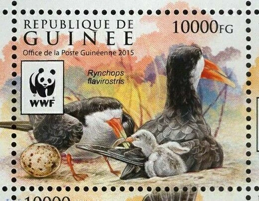 Hoja de recuerdo de aves Skimmer Stamp Rynchops Flavirostris MNH #11528-11531 Foto 3 de 4