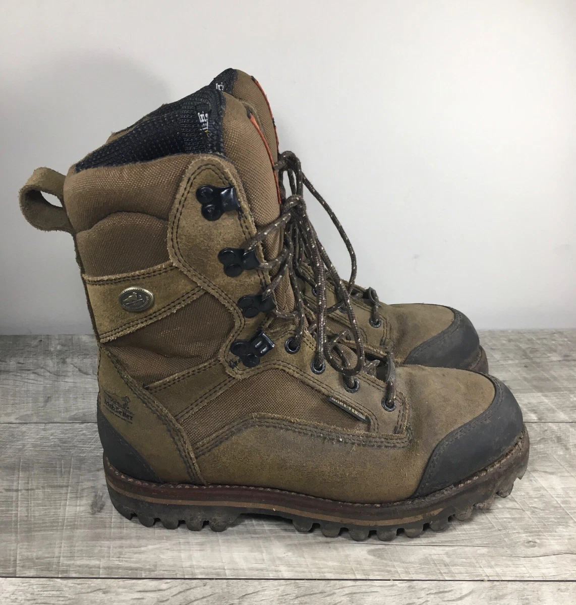 Irish setter cheap havoc