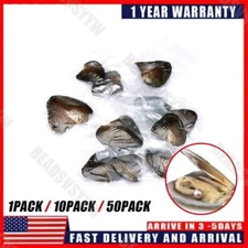 1-50 pack Individually Wrapped Oysters whith Natural Pearl Holiday Birthday Gift