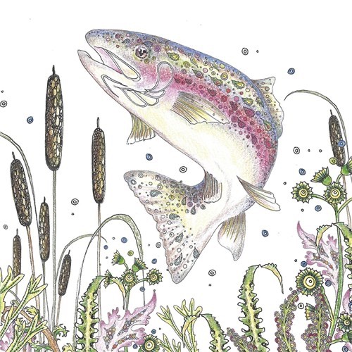 Woodland Stream Trout - Fine Art Blank Greeting / Birthday Card -  Fish Fishing