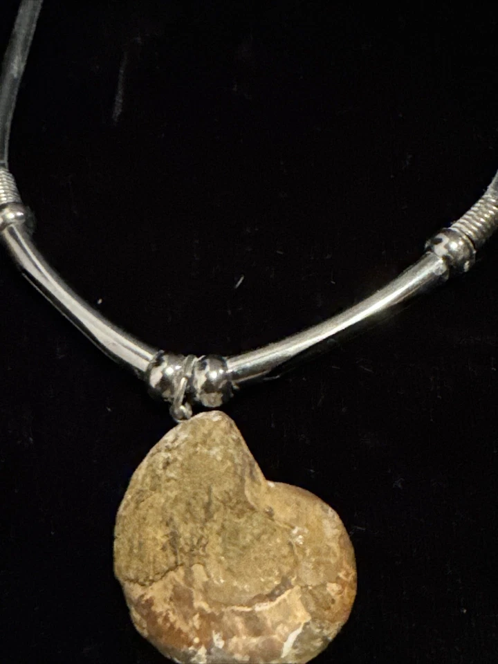 Collar de amonita fósil concha con detalles de color plata Foto 3 de 4