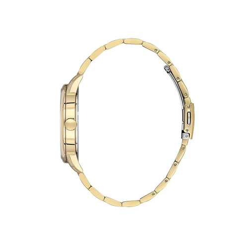Daniel Klein Premium Men Gold/Silver Dial Watch