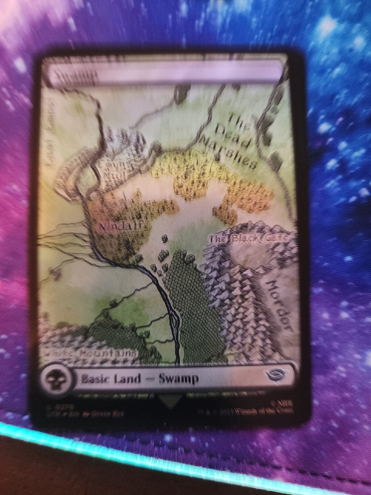 MTG Magic Swamp 276 FULL ART FOIL The Lord of the Rings LTR NM