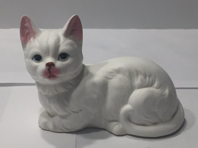 white cat with pink ears