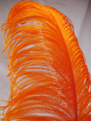 Orange Ostrich Feather Plume Premium 18-24+ inch per Each