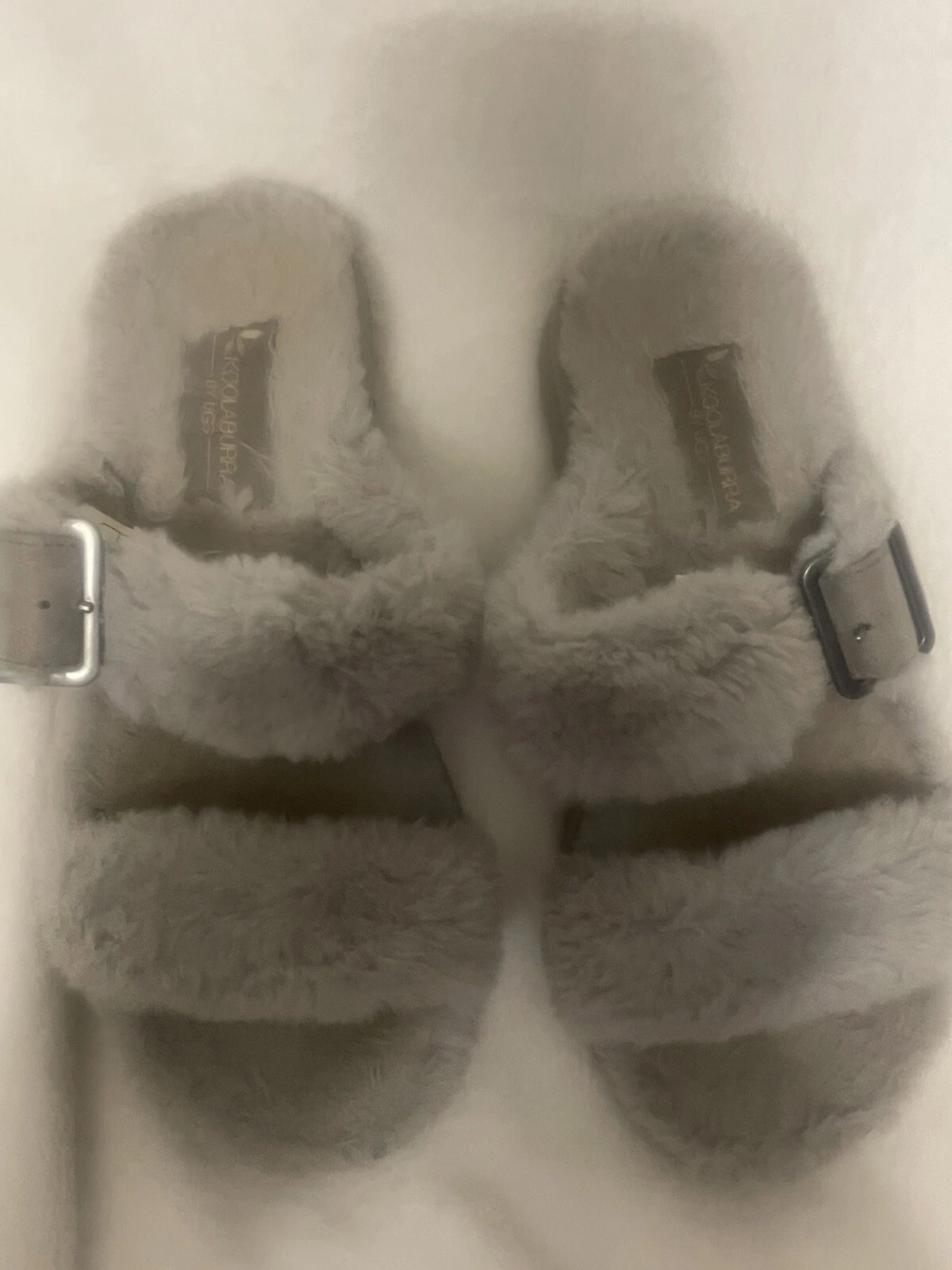 SANDALI CIABATTE KOOLABURRA by UGG donna colomba selvatica FURR AH FIBBIA 9