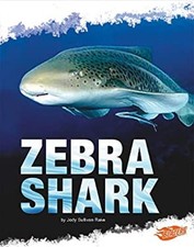 Zebra Shark Library Binding Deborah Nuzzolo