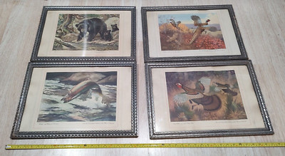 Set of 4 Vintage Hunting Scenes Prints Framed Mounted 20
