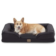 Bedfolks Orthopedic Dog Bed, Waterproof 35.0"L x 25.0"W x 6.5"Th, Black