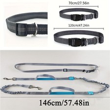Hands Free Dog Walking Belt Jogging Waist Pet Dual-Handle Training Bungee Leash
