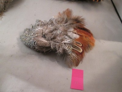RINGNECK PHEASANT RUMP PATCH #11 Fly Tying Feathers used is in good condition