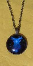 Charm Luminous Zodiac Necklace Horoscope Sign CAPRICORN