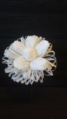 30 x Krepprosen 10 cm Krepp Papier Blumen,+ f. Draht, Hochzeit, Party ELIT ETNO