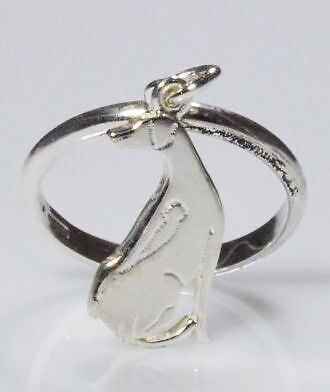 Rhodischer 925 Silber AnhäNger Ring Luce-image