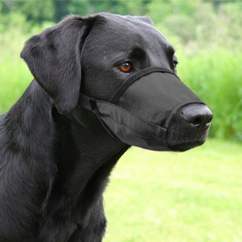 Adjustable Nylon Pet Puppy Dog Muzzle Quick Fit Anti Bite No Bark Chew 7 Sizes - Picture 11 of 17