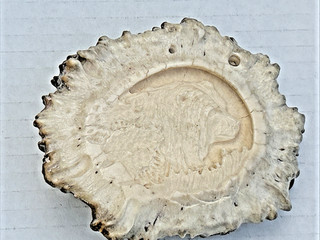Carved Antler Bear Belt Buckle from 1987. Signed by D. Conners. Vintage. 3 3/4